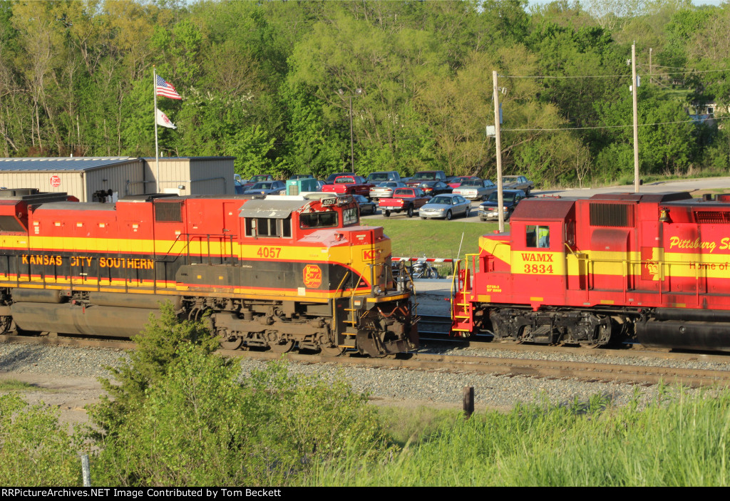 Gorilla meets goliath